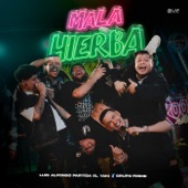 Mala Hierba artwork