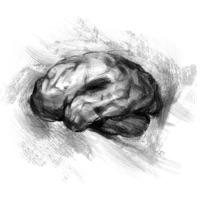 Ventral Striatum - Single - brndoom, Divanator & danweer