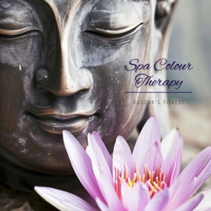 Spa Colour Therapy