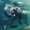 Fishes (Instrumental) - groah leeney lyrics