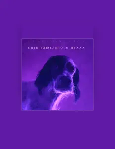 Escucha a VLADEESLAVQUE, mira videos musicales, lee su biografía, consulta las fechas de las gira y más.