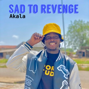 Sad to revenge