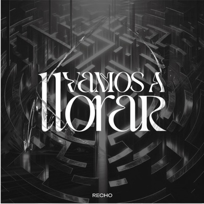 Vamos a Llorar - Single