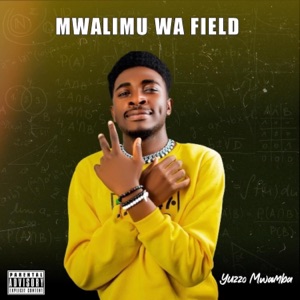Kabeibe (feat. Stamina Shorwebwenzi)
