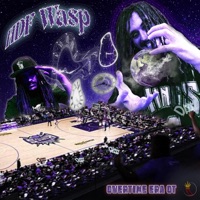 Overtime Era OT - HDF Wasp