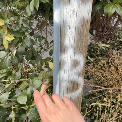 Blatt x Cp (feat. Cpthegreat6) - Single