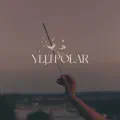 Ylli Polar