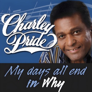 My Days All End in Why - Single