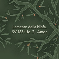 Lamento della Ninfa, SV 163: No. 2, Amor (Arr. for Voice, Archlute, Cello & Harpsichord by Haitham Haidar) - Single - Haitham Haidar, Sylvain Bergeron, Amanda Keesmaat & Abraham Ross