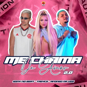 Me Chama de Amor 2.0 / Vai Malvadin