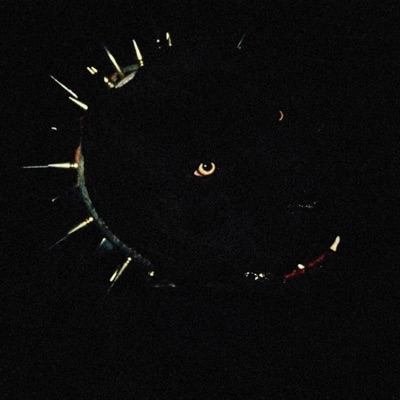 CHUNGA - Single