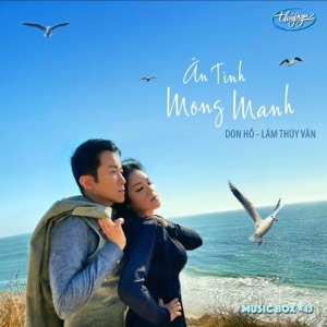 Ân Tình Mong Manh (Musicbox 45)
