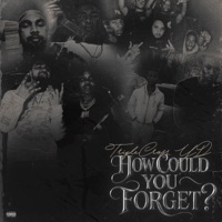 How Could You Forget? - TripleCrossYd