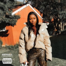 TOO MUCH MADEINAREA51