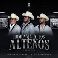 Homenaje a Los Alteños, Vol. 2 - Los Tres Plebes