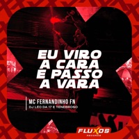 Eu Viro a Cara e Passo a Vara - Single - MC FERNANDINHO FN, DJ Léo Da 17 & DJ TENEBROSO ORIGINAL