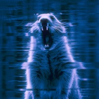 Bounce - Single - Sqxisley