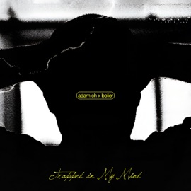 Trapped In My Mind (Bolier Remix EDIT) Adam Oh