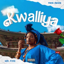 Kwalliya Mr Fire