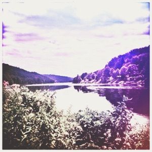 Wild Heart - Single