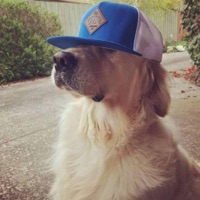 innout (feat. faller) - Single - day ones