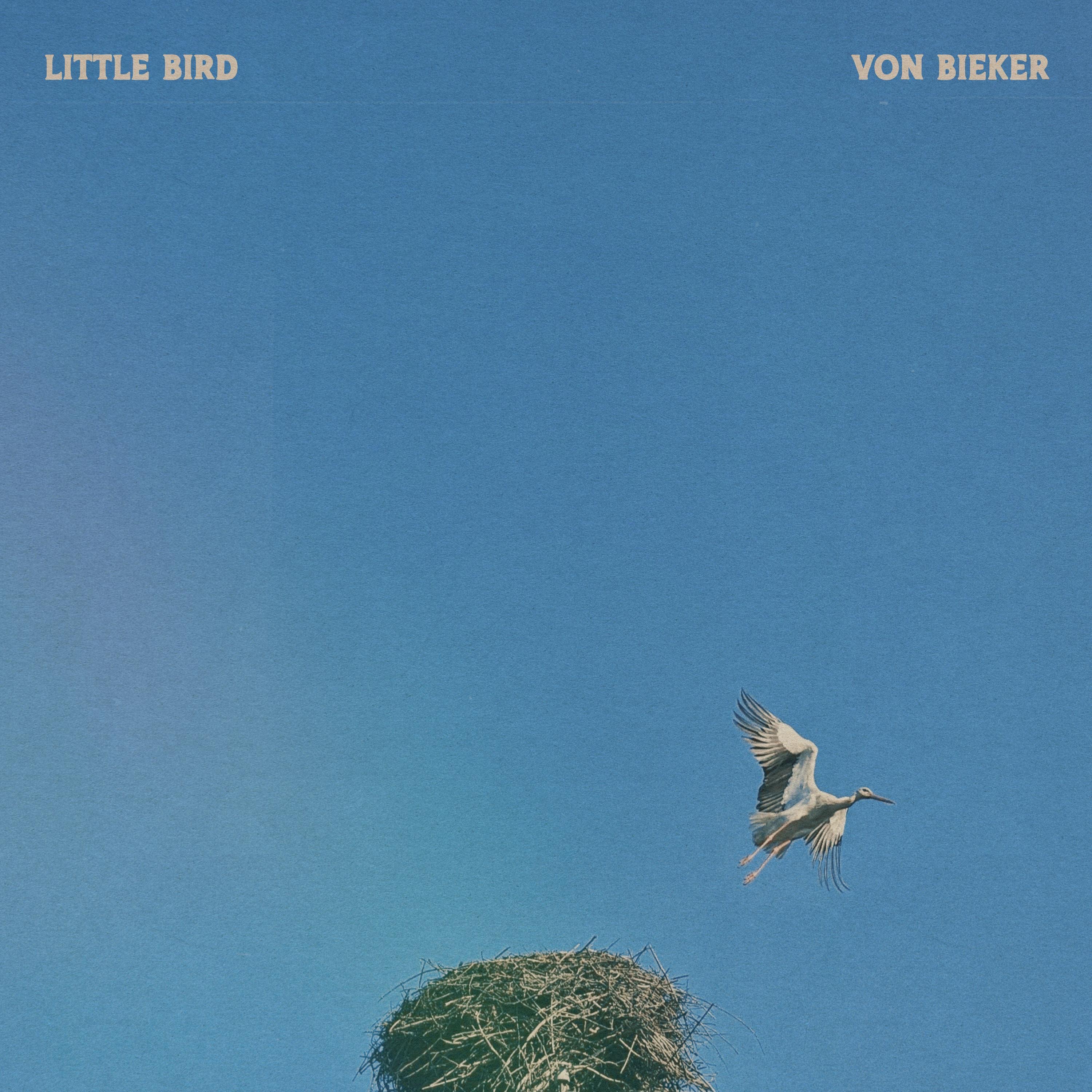 Little Bird - Single