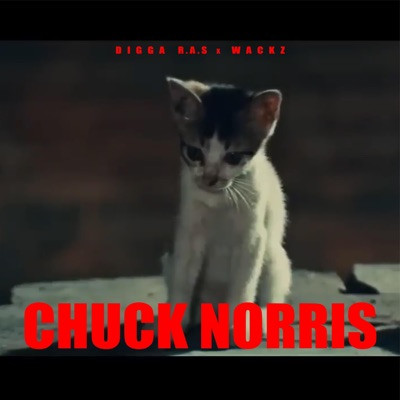 Chuck Norris (feat. DiggaR. A.S) - Single