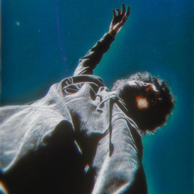 VICE - Single