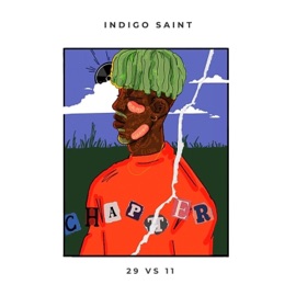 David Indigo Saint