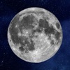 Suicide Silence Suicide Silence ã¼ã­ã«ã©ã«ã³ããã¼ã³ã³ãã¬ã¼ã·ã§ã³ãææ¦ããmoonã