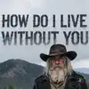 Black River Whiskey - How Do I Live Without You