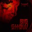 Big Show - Single
