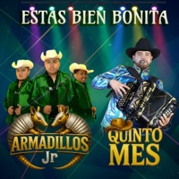 ESTAS BIEN BONITA (feat. QUINTO MES) - Single - ARMADILLOS JR
