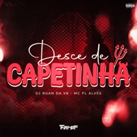 DESCE DE CAPETINHA vs AFROBEAT - Single - DJ Ruan da VK, mc pl alves & FIRMA 21