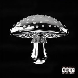 Track O (feat. SOHO) see