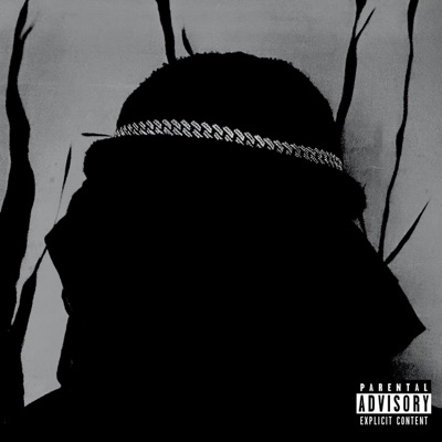 I Wish I Learned Cursive