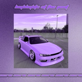 Really Want (Slowed) SOXRVE & Solizy