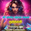 EnnaApiNatamu - Trending Sinhala EDM Song Collection මේ දවස්වල කවුරුත් හොයන මනෝපරට Hit ම EDM ටික එක දිගට අහමුද