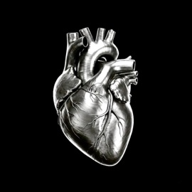 Don't ever miss it (feat. Reposado) DRbug