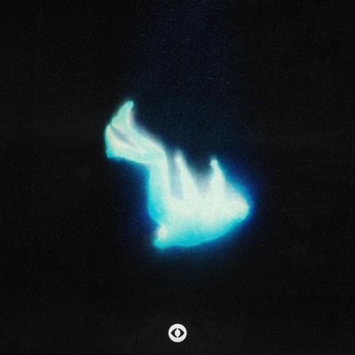 Coming Down - Single