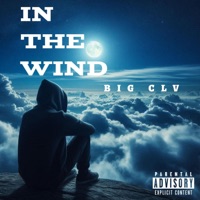 IN THE WIND - Single - Big CLV
