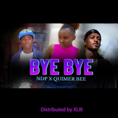 Bye Bye (feat. NDP & Quimer Bee) - Single