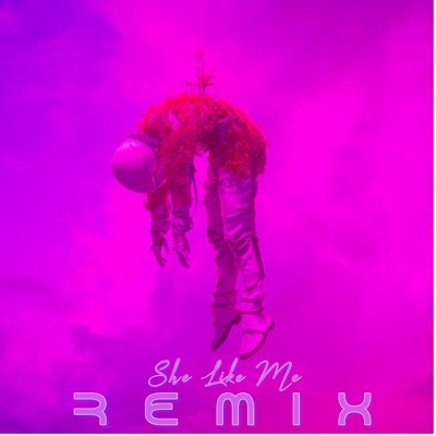 She Like Me (REMIX) (feat. Waxtheproducer & Vkomah) [Radio Edit] - Single
