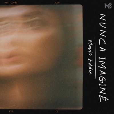 Nunca Imaginé - Single