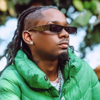 Sitaki Mchizi (feat. Nitty kutchie) [Remix] - Single - Young Daresalama