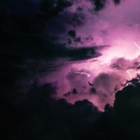 Striving - Single - xonett