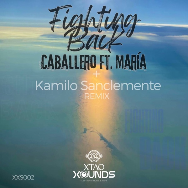 Fighting Back - Single