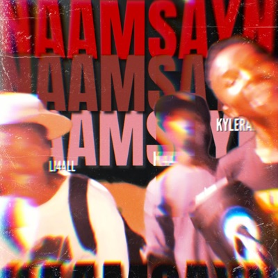 NAAMSAYN (feat. K4all & Li4all) - Single