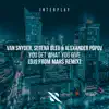 Van Snyder, Serena Bleu & Alexander Popov - You Get What You Give