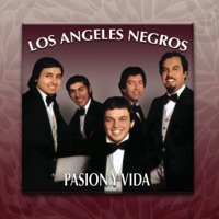Pasion Y Vida